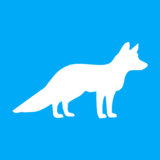 Logo Cleanfox