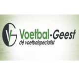 Logo Voetbal-geest.nl