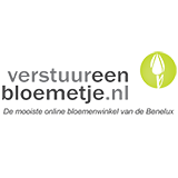 Logo Verstuureenbloemetje.nl