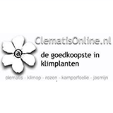 Logo Clematisonline.nl