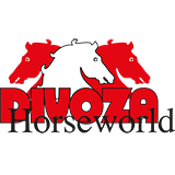 Logo Divoza.com