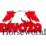 Divoza.com